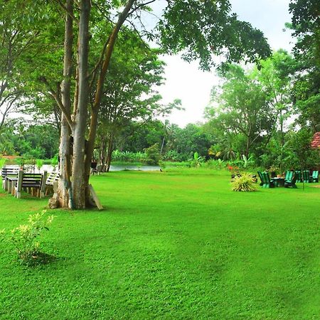 Canal Side Safari Resort Udawalawe Exterior foto