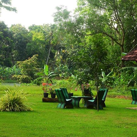 Canal Side Safari Resort Udawalawe Exterior foto