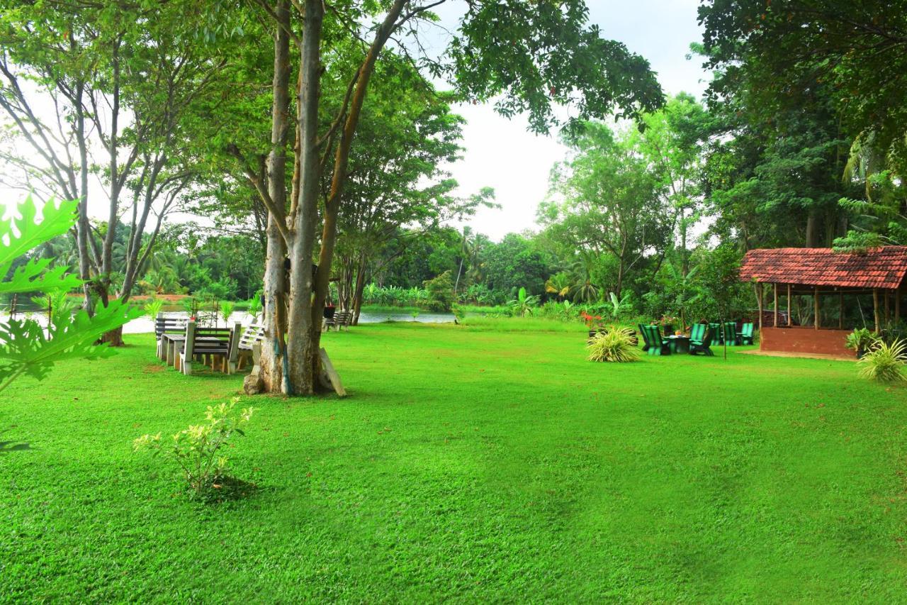 Canal Side Safari Resort Udawalawe Exterior foto