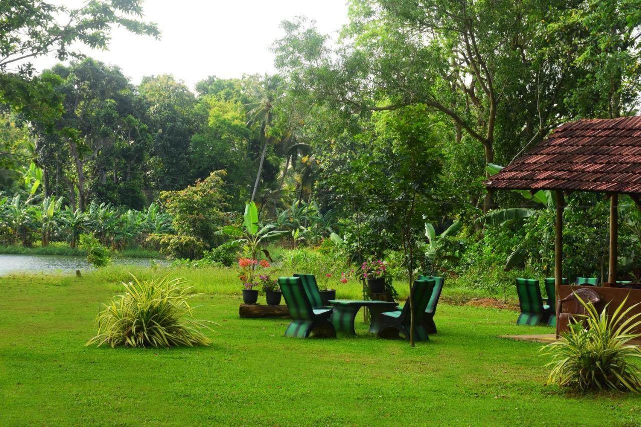 Canal Side Safari Resort Udawalawe Exterior foto