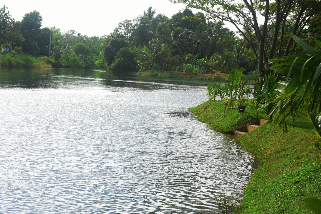 Canal Side Safari Resort Udawalawe Exterior foto
