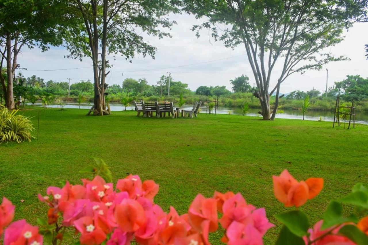 Canal Side Safari Resort Udawalawe Exterior foto