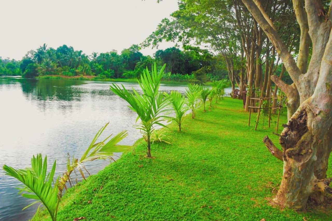 Canal Side Safari Resort Udawalawe Exterior foto
